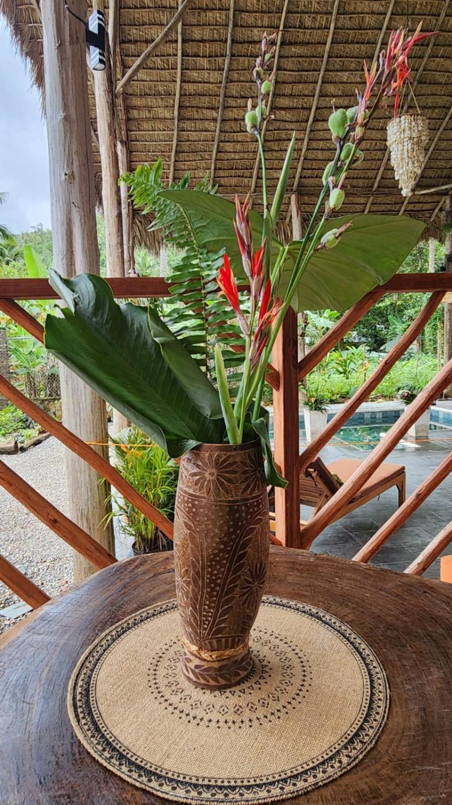Boho And Hotel El Valle