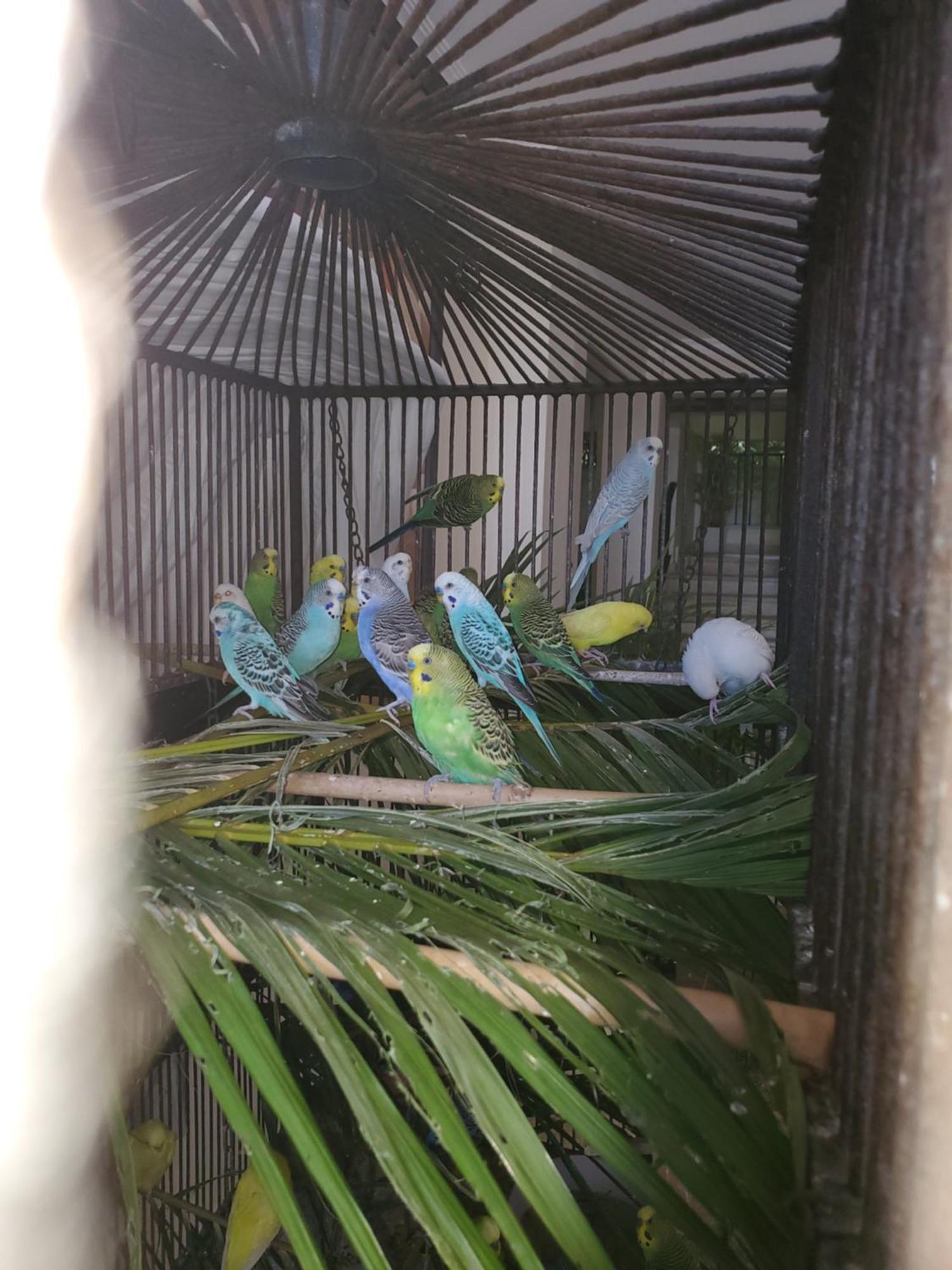 Susy Paradise Apartment