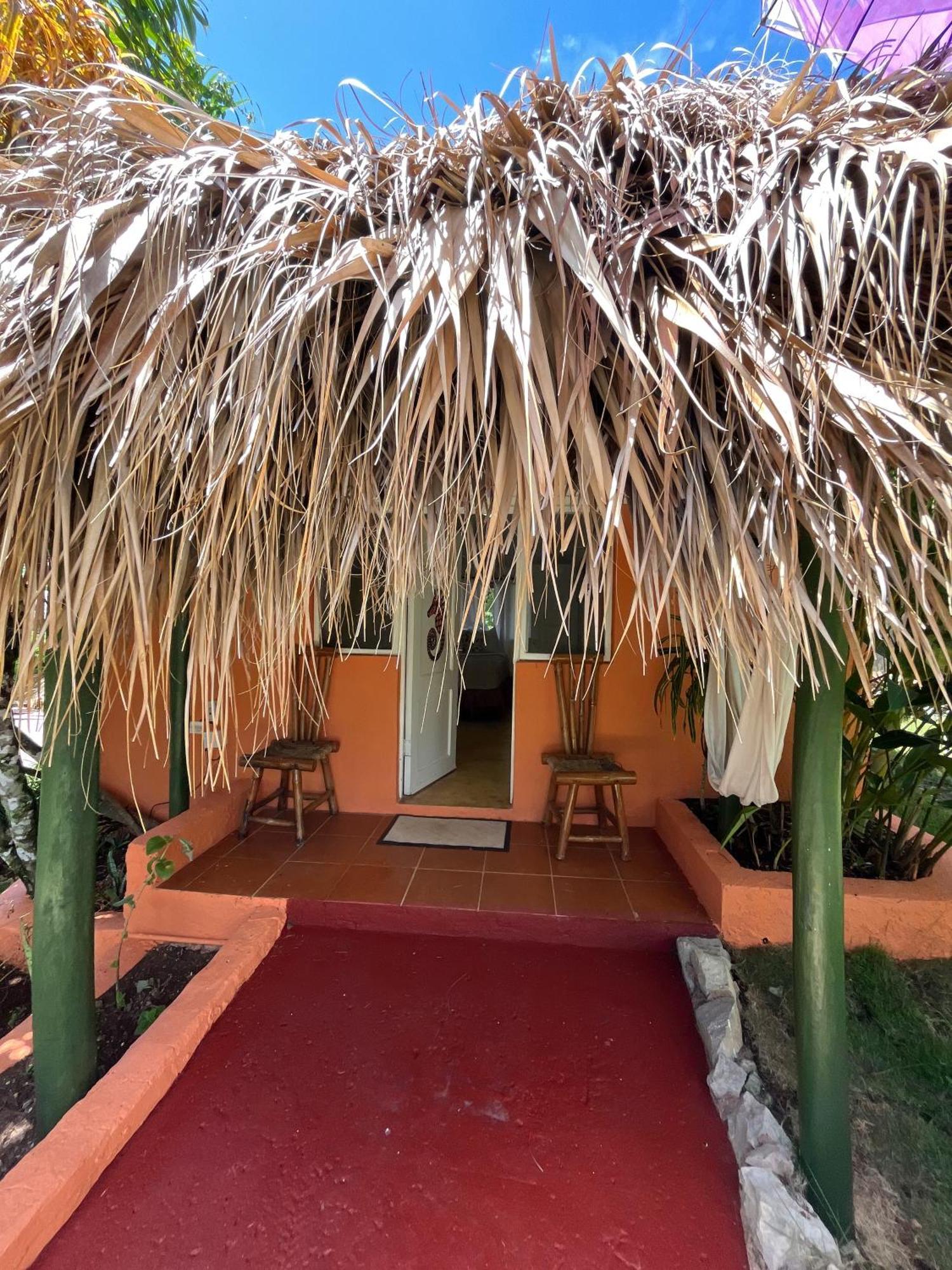 Arena Oceanview & La Terraza Restaurant Hotel *