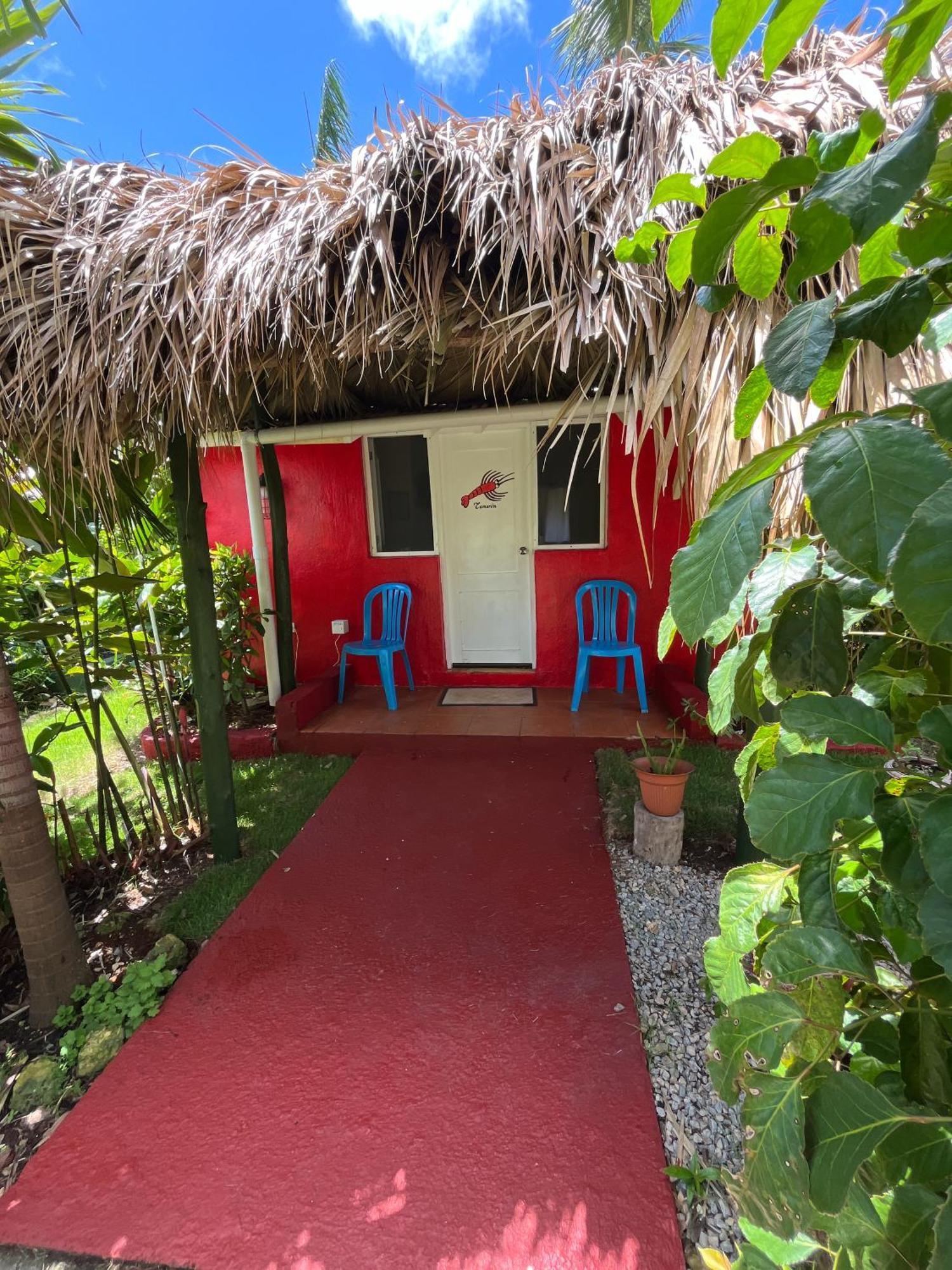 Arena Oceanview & La Terraza Restaurant Las Galeras