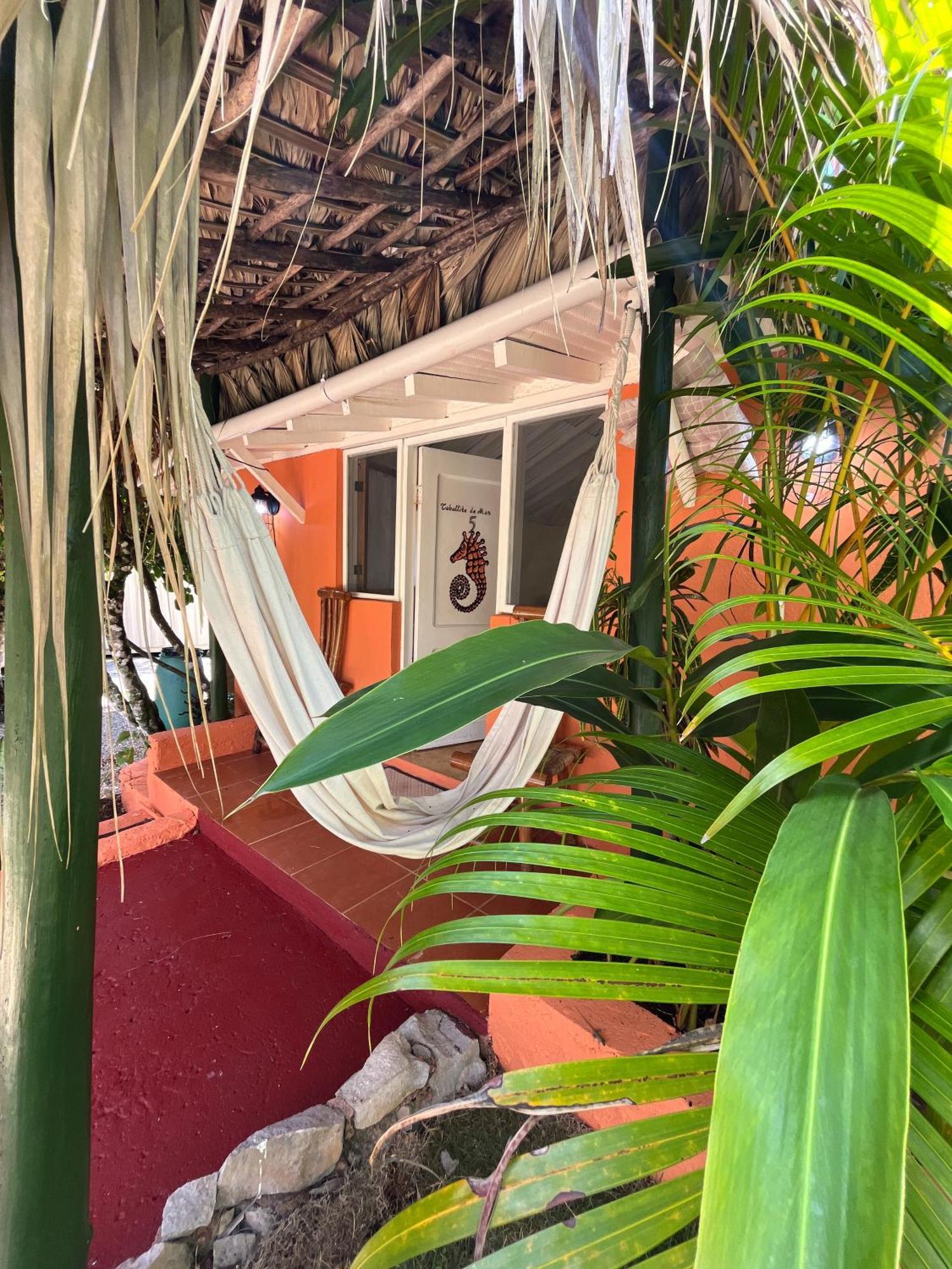 Arena Oceanview & La Terraza Restaurant