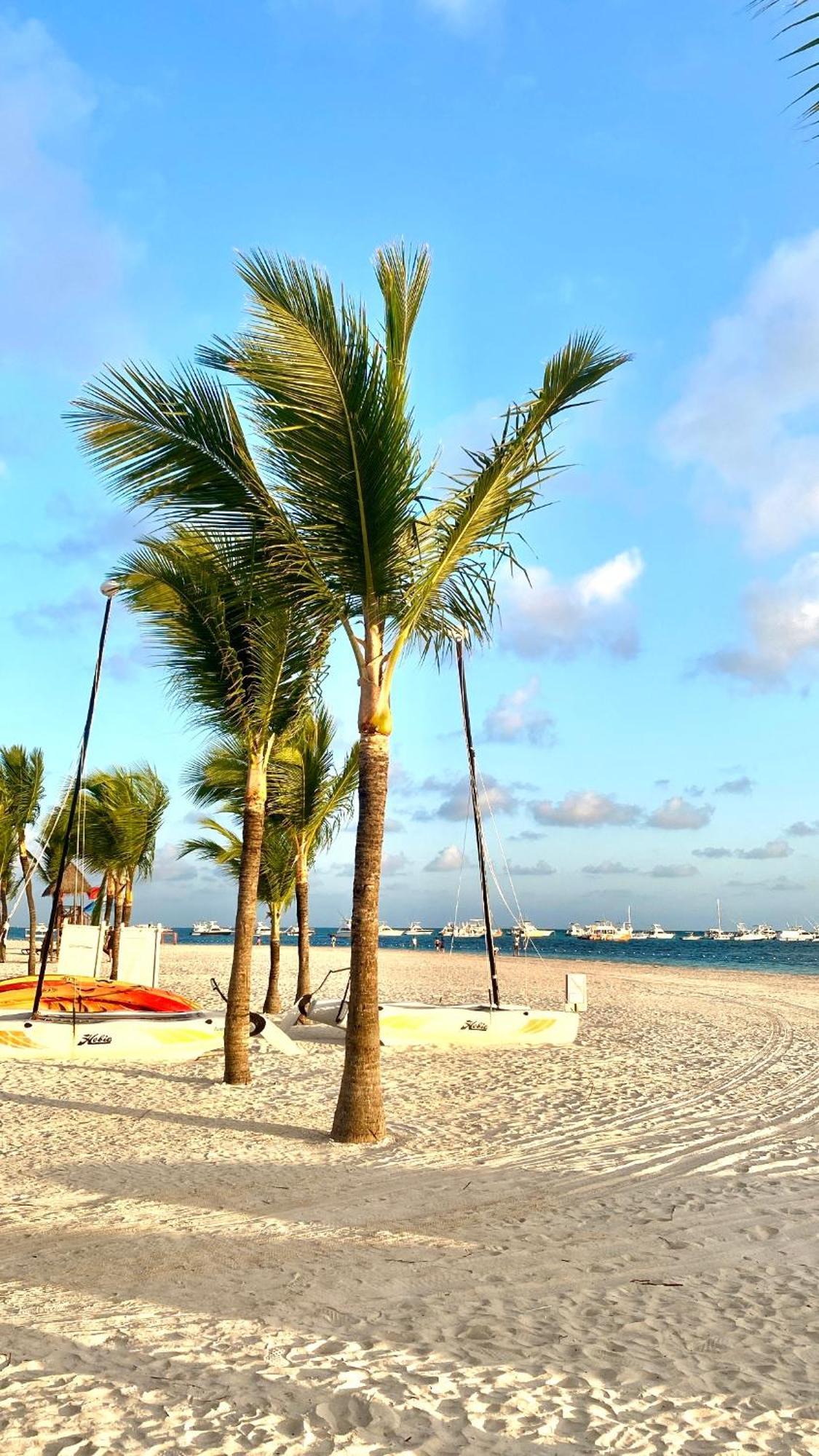 Apartment Paradise Close To The Pool Free Parking,wifi- *