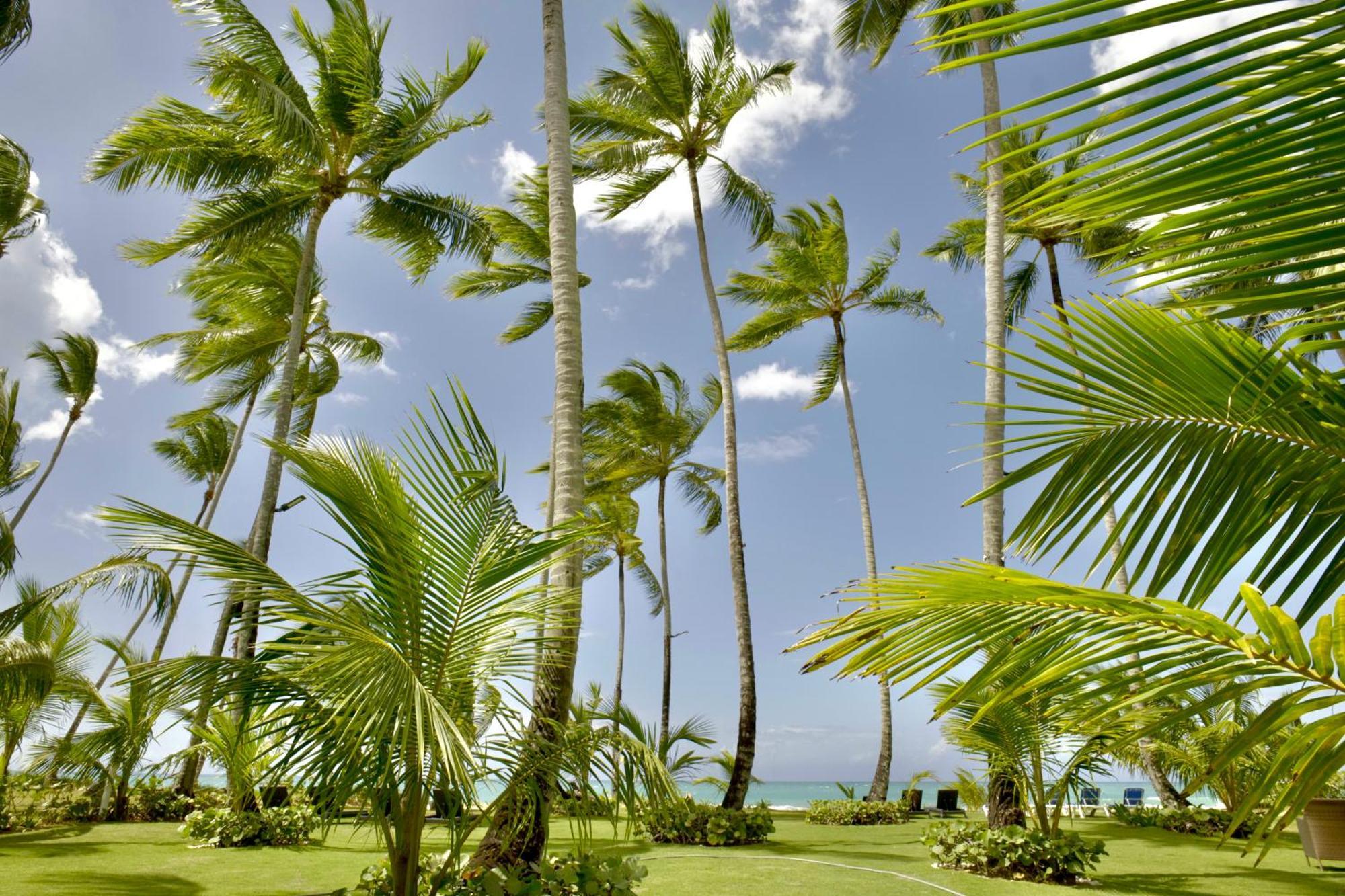 Villa Maranata Complex 5 3brd Frontbeach Las Terrenas
