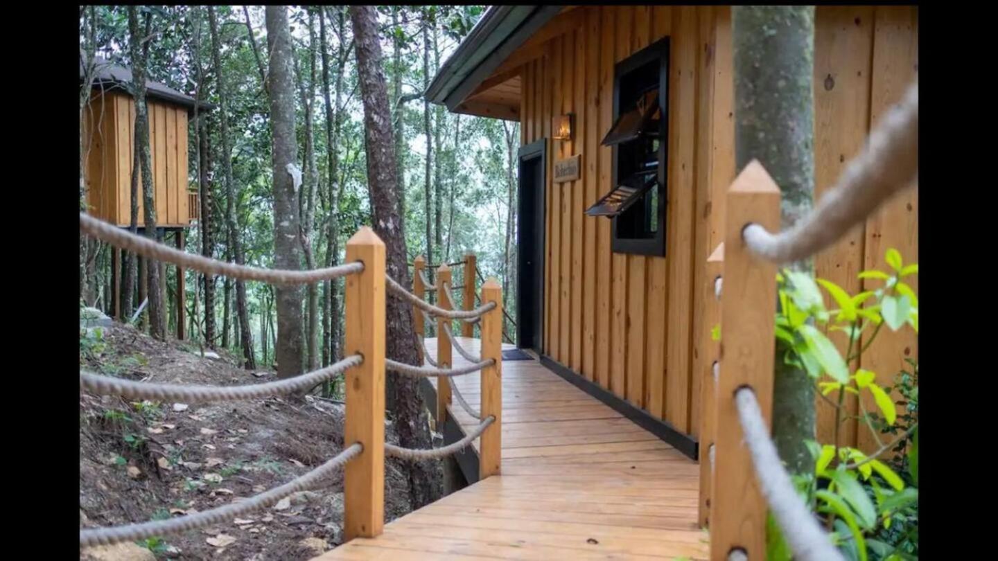 The Grand Forest Villa
