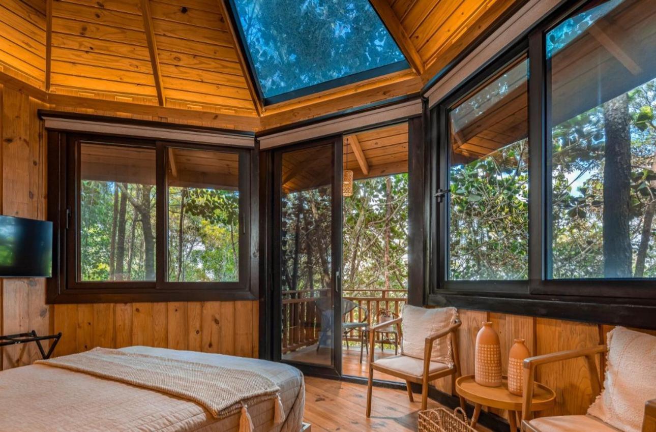 Villa The Grand Forest
