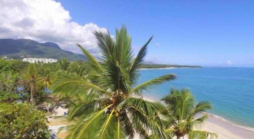 Hotel Celuisma Playa Dorada 4*