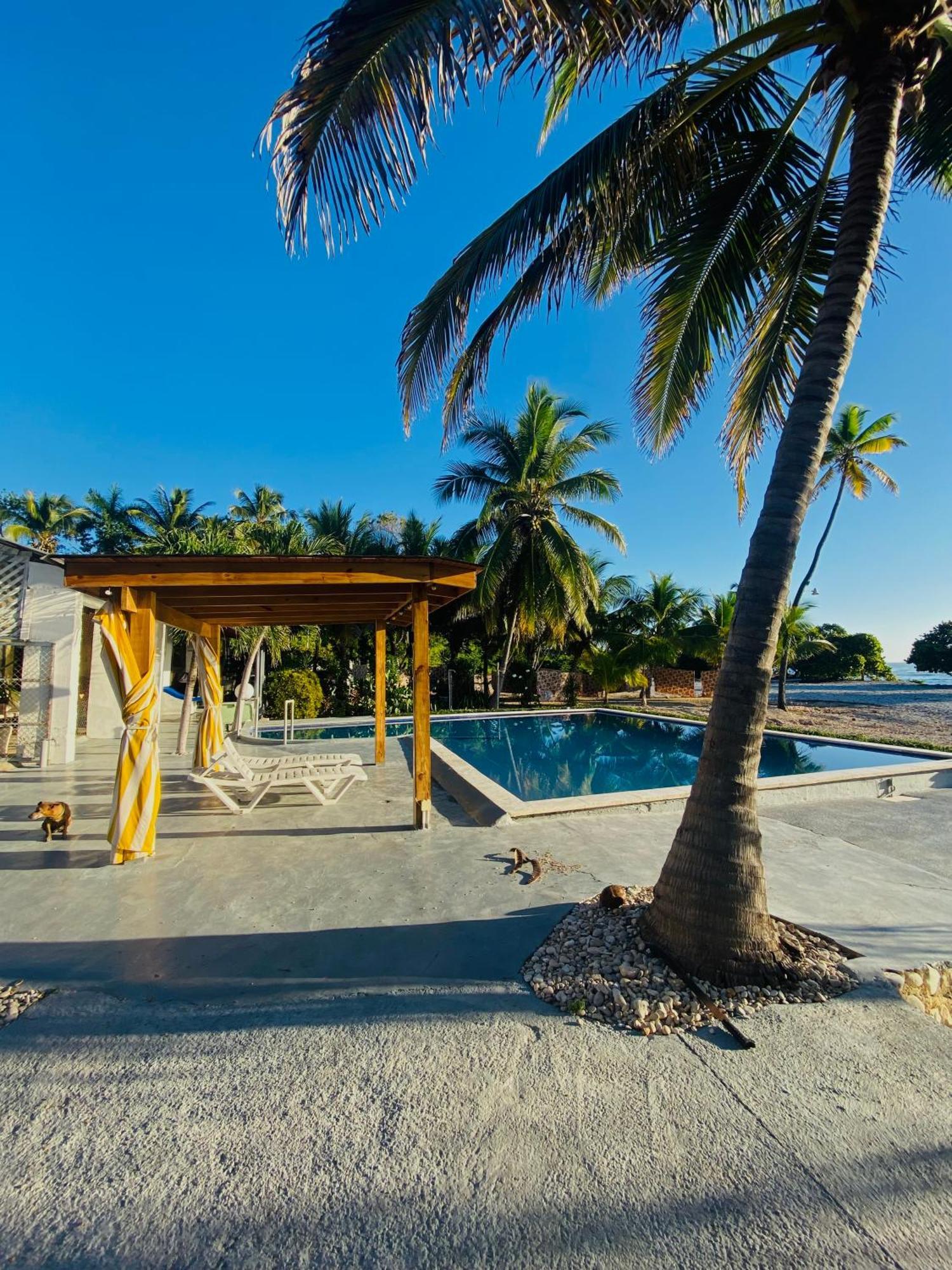 Al Mare Bed & Breakfast Barahona