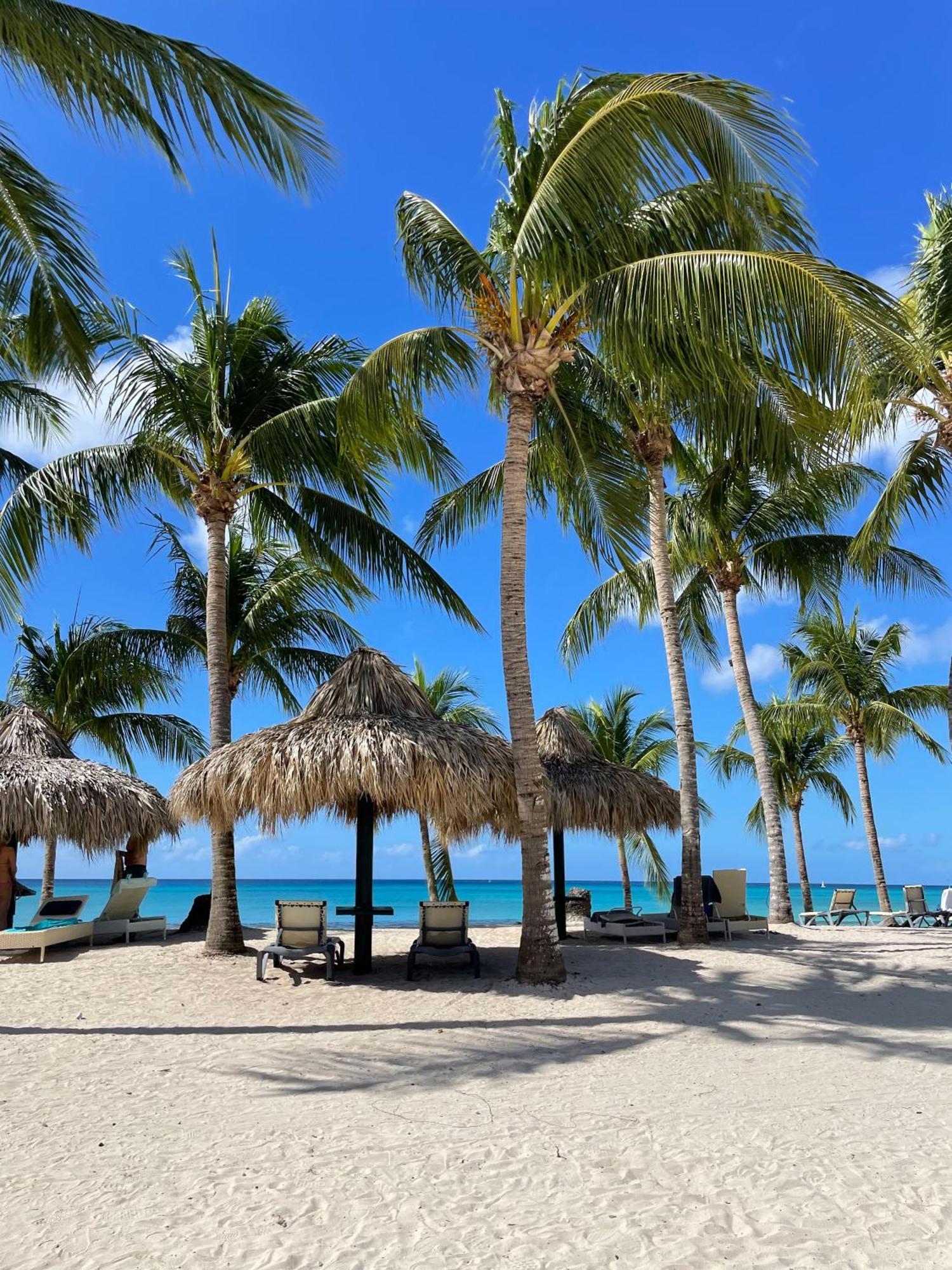 2br Beachfront W View 71 Apartment
