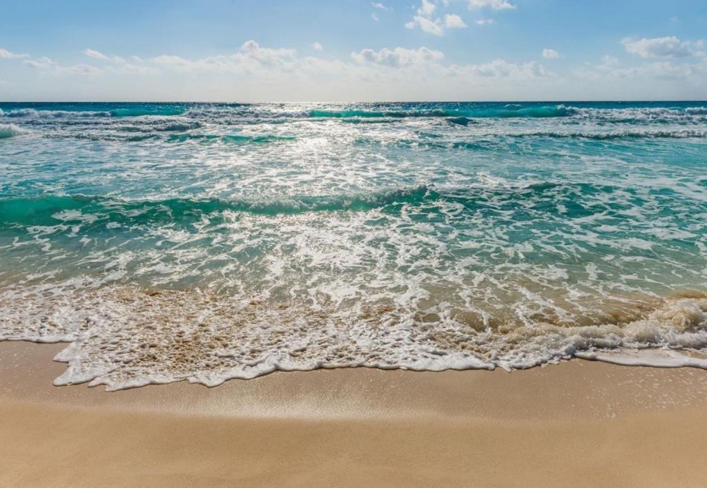 Caribbean Dream With Pool Playa Corales Aparthotel Punta Cana