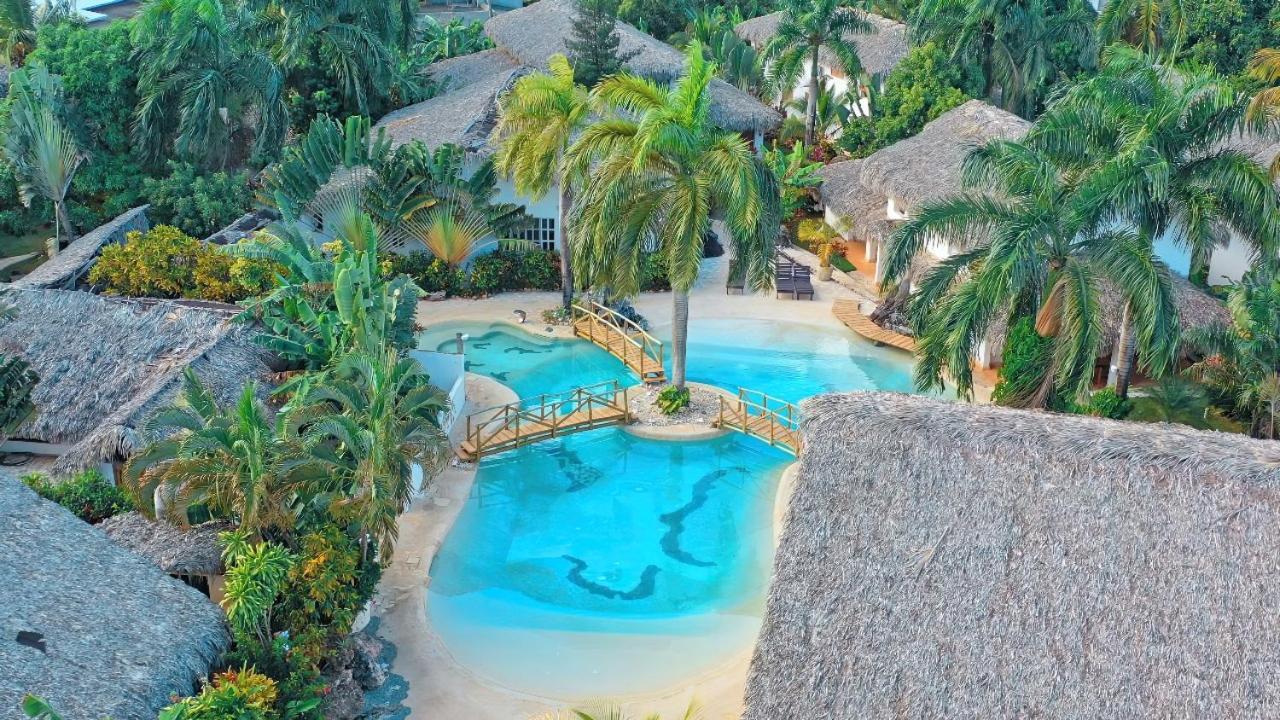 Palmeras Con Piscina En Galeras *