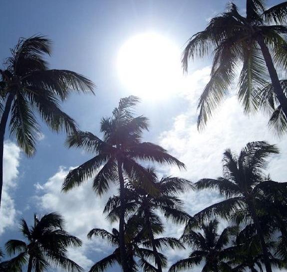 Del Sol Ii 3* Bavaro