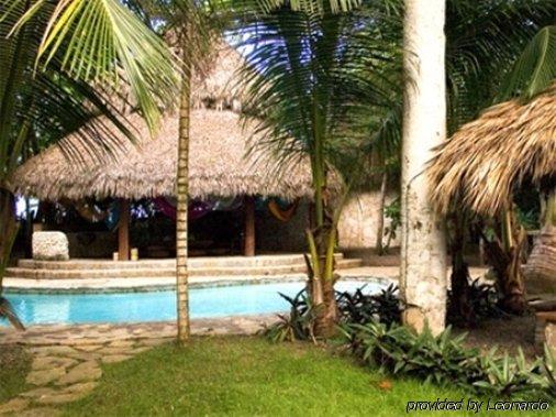 Hotel Natura Boutique & By Mint Cabarete