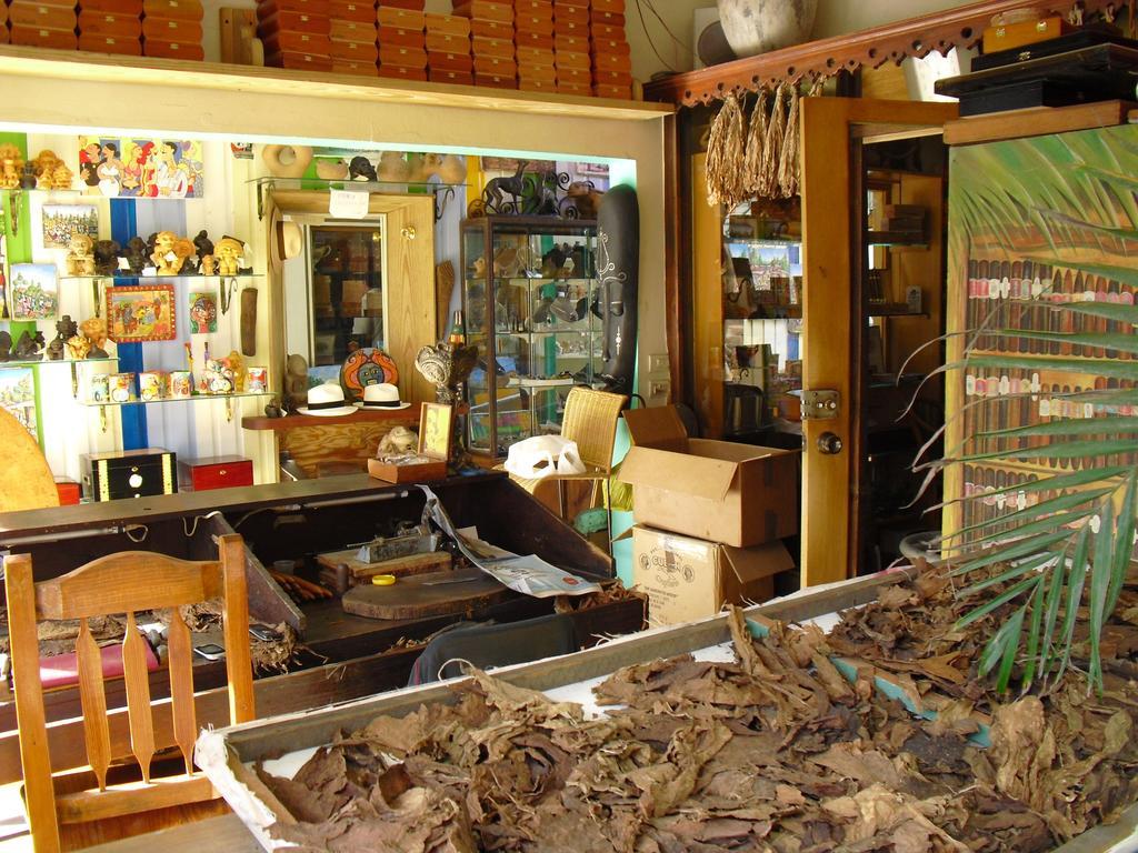 Caoba Las Terrenas