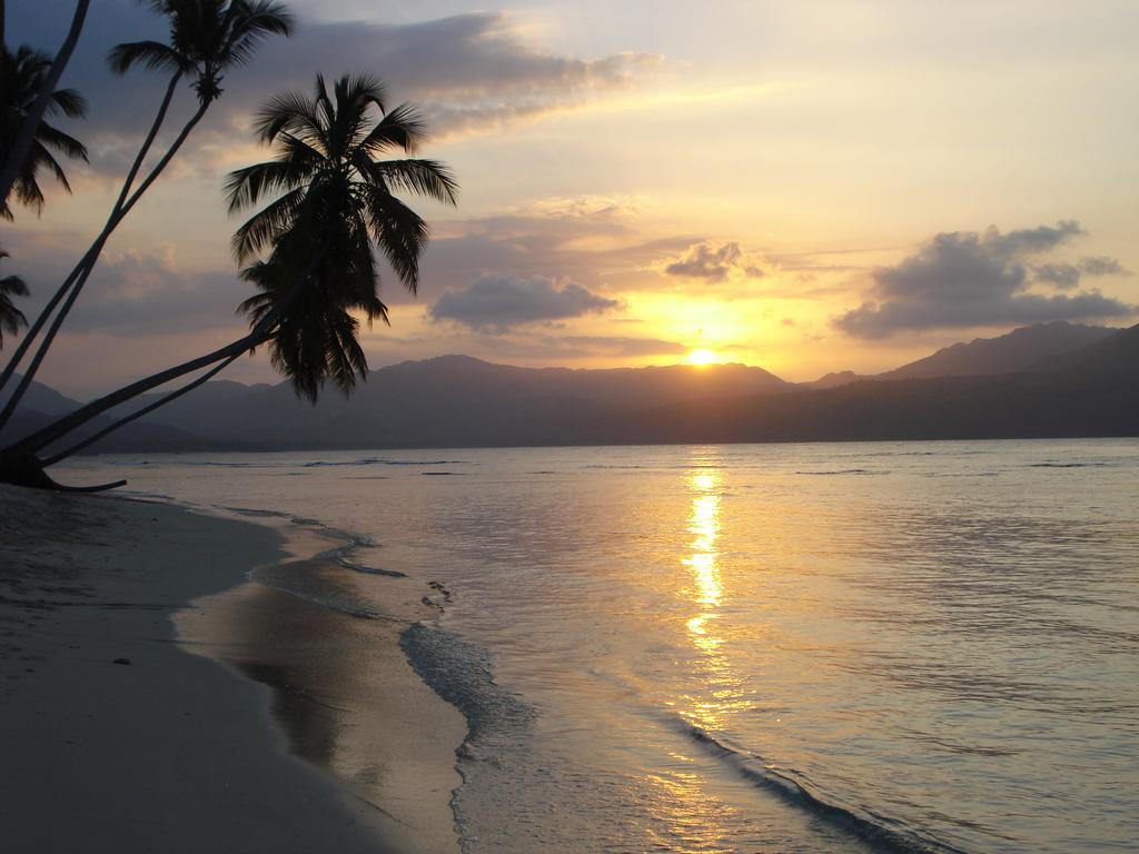 Caoba *