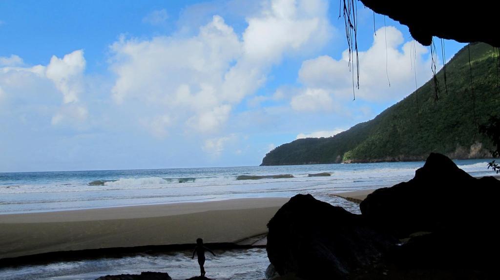 Dominican Tree House Village Lodge Samana