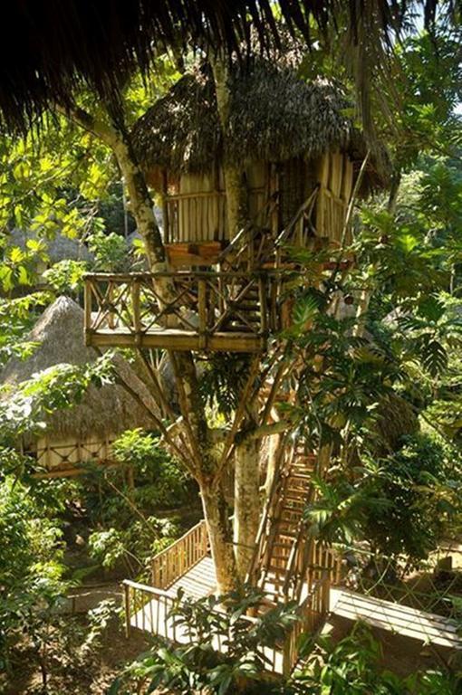 Dominican Tree House Village Lodge *