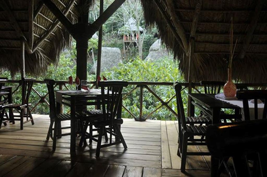 Dominican Tree House Village Lodge Samana