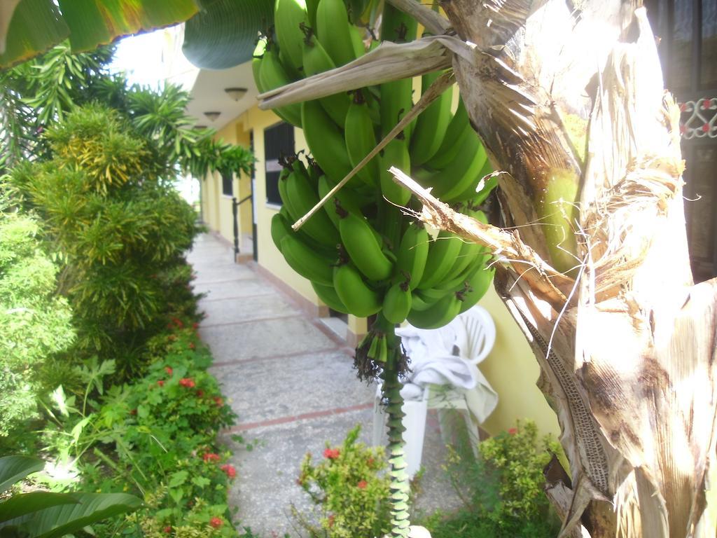 Residencial El Mirador Aparthotel