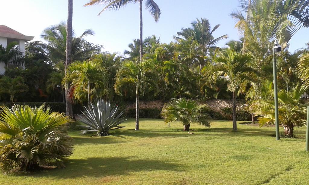 Sol Bonito