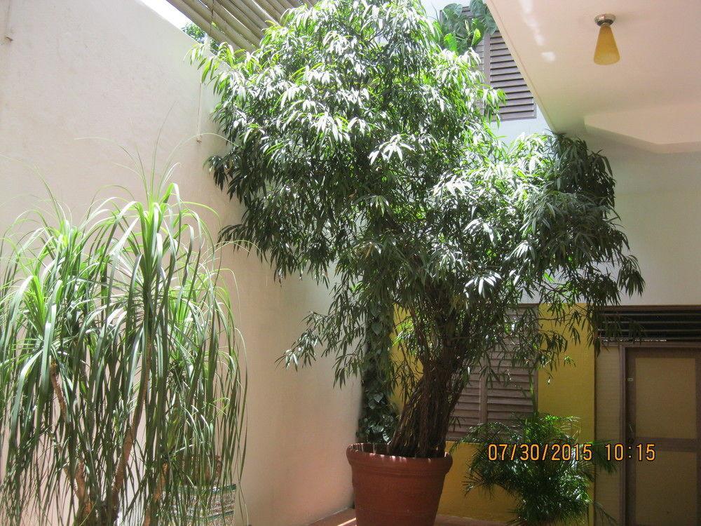 Aparthotel Residencial La Fonte Santo Domingo