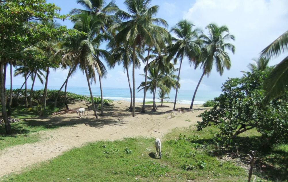 Brisas Doradas Cabarete