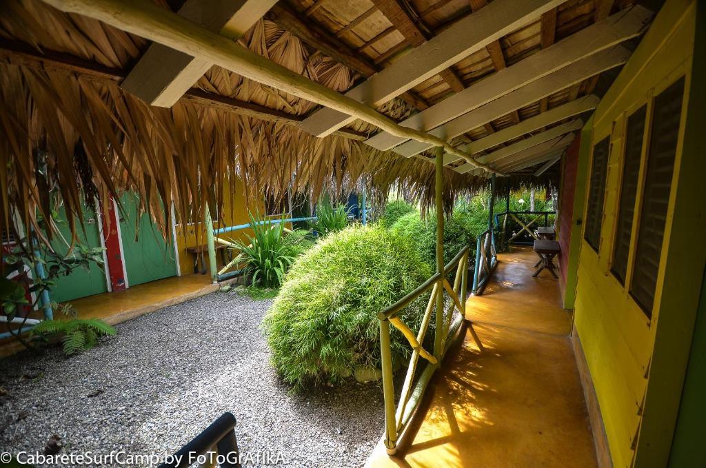 Hotel Surf Camp