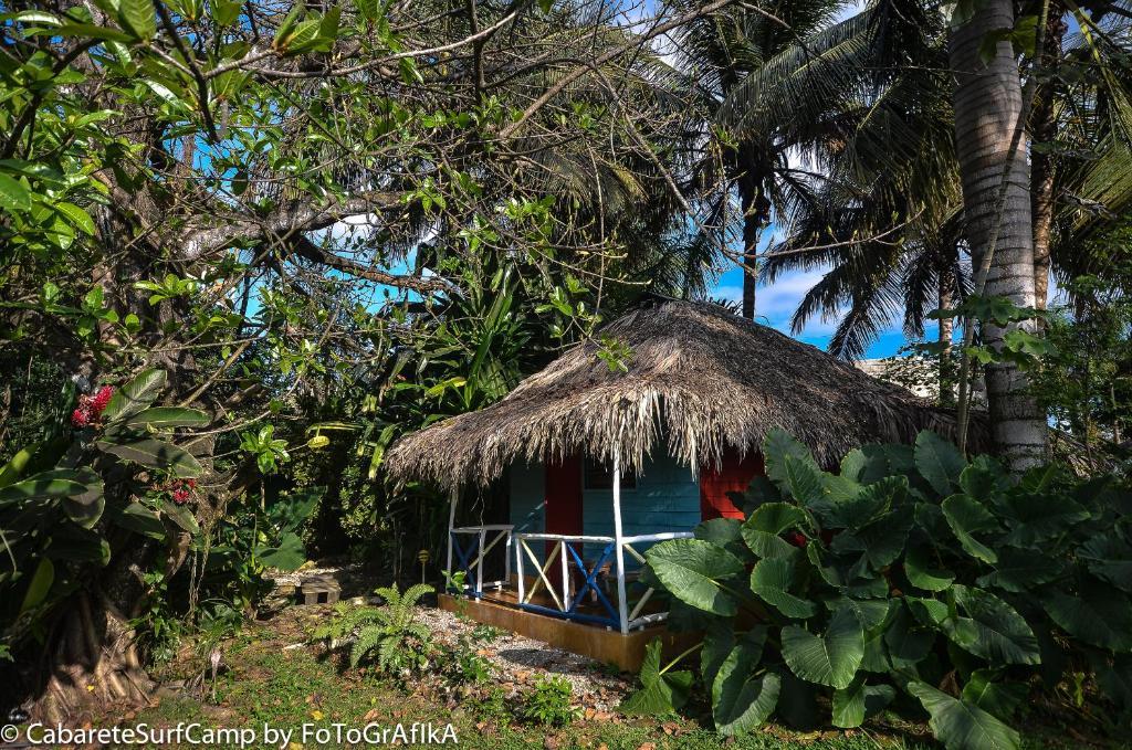 Surf Camp Cabarete