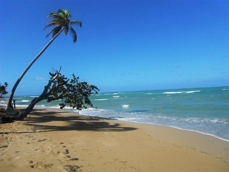 Punta Bonita