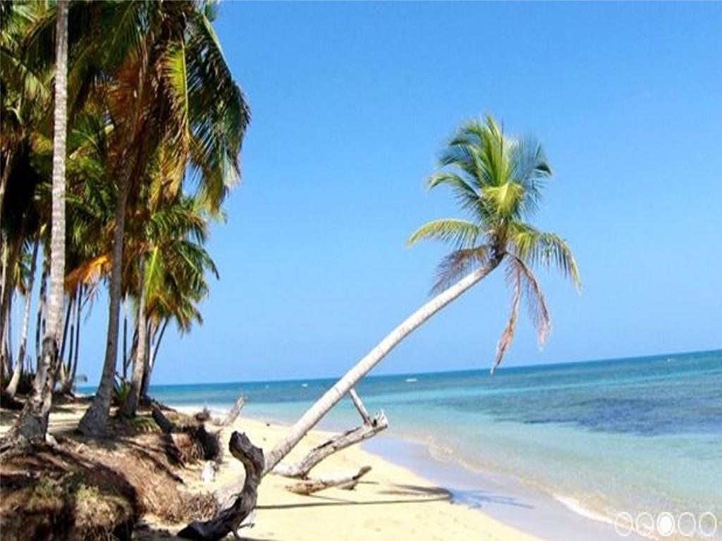 Caoba Las Terrenas