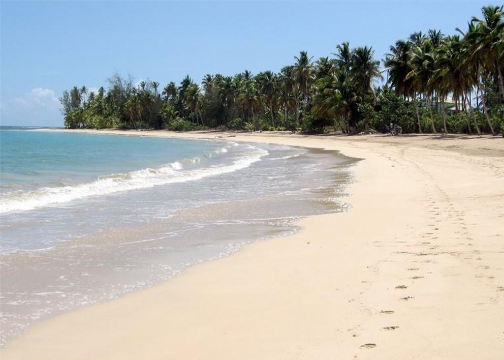 Caoba * Las Terrenas