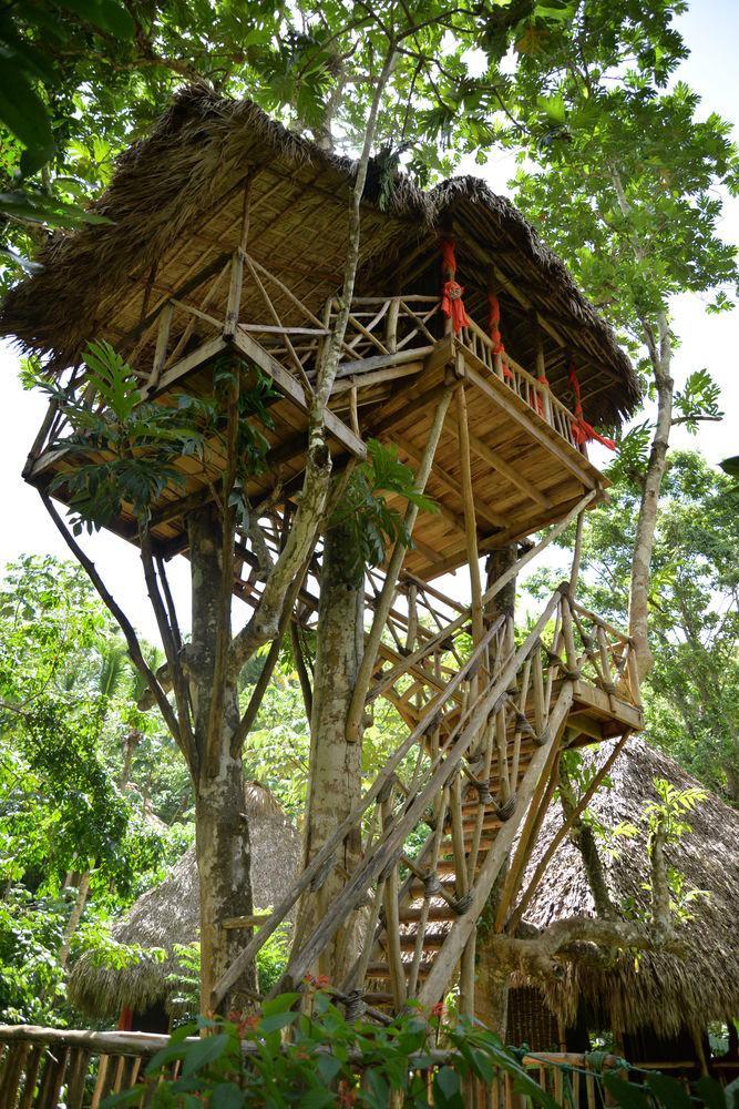 Lodge Dominican Tree House Village *