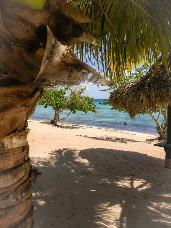 In Cadaques Bayahibe