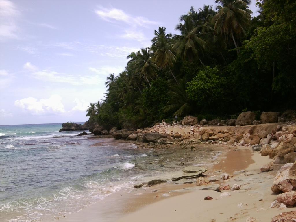 Luxury With Ocean View At The * Cabarete