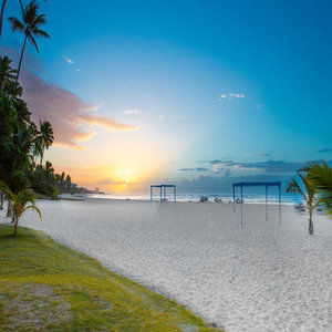 Coral Costa Caribe