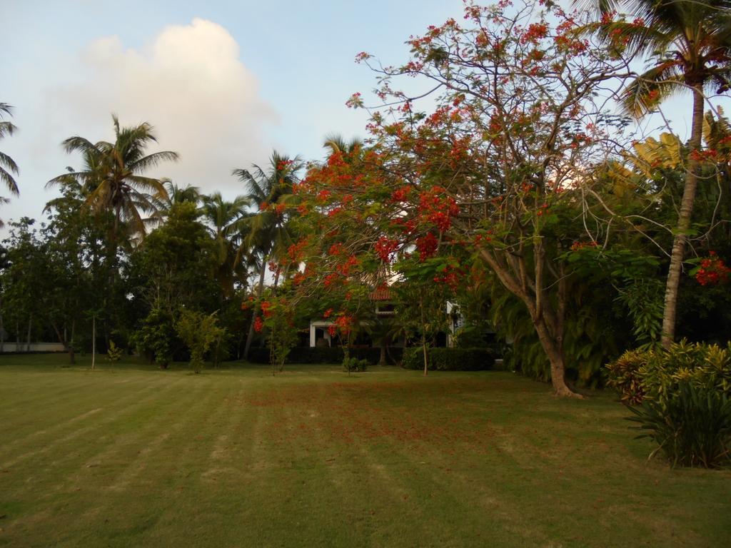 Villa Lujo Las Pinas 13 En Casa Campo