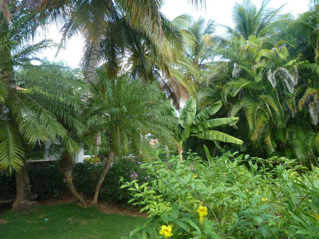 Villa Lujo Las Pinas 13 En Casa Campo *