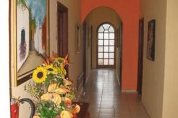 Duque De Wellington Santo Domingo