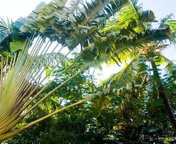 Oasis Terrenas Aparthotel 3*