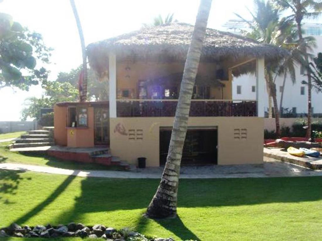 Agualina Kite
