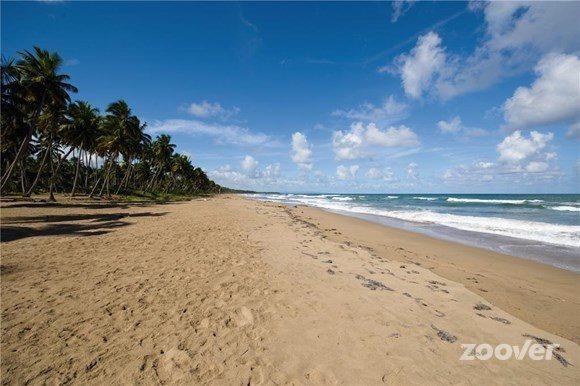 Holiday home Las Pascualas Beach 93b1 Sanchez