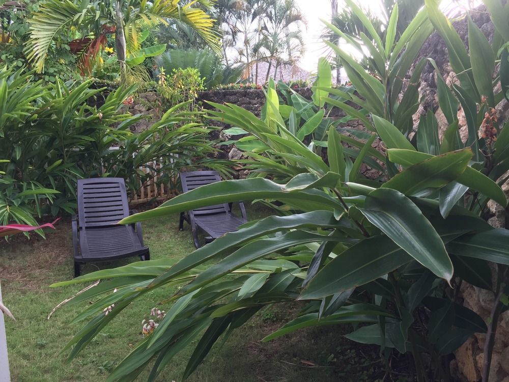 Casa Barbara Guest house