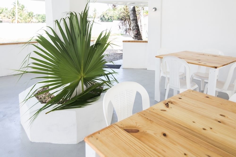 Northway's Monte Cristo Cabarete