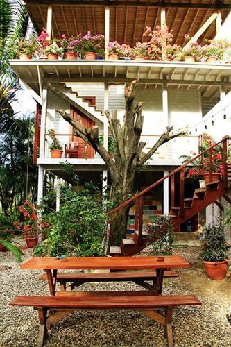 Surf Camp Cabarete