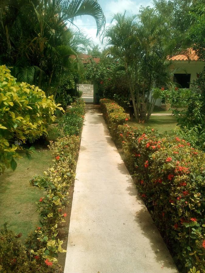 Modern Dominicus Apartment *