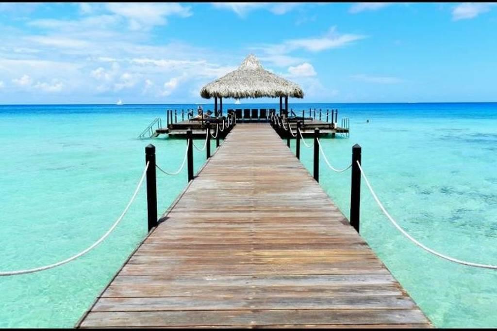 Titty's Paradise