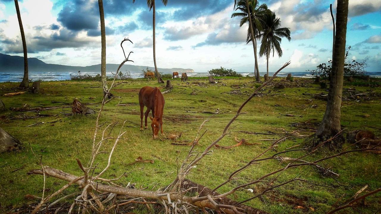 La Caleta *