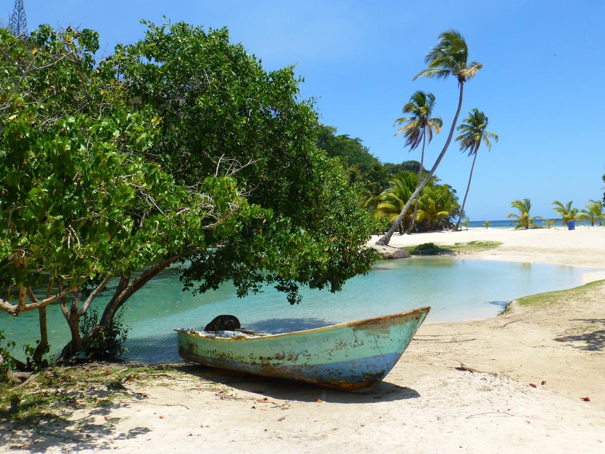 Labellaventura Las Galeras