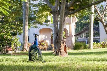 The Palace At Playa Grande 4* Rio San Juan