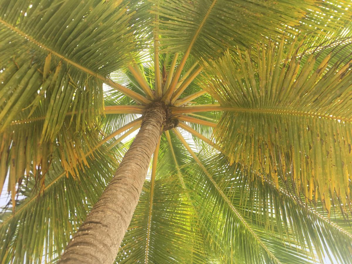 Luna Bayahibe
