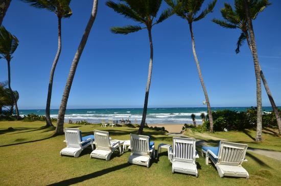 Apartment East Beachfront